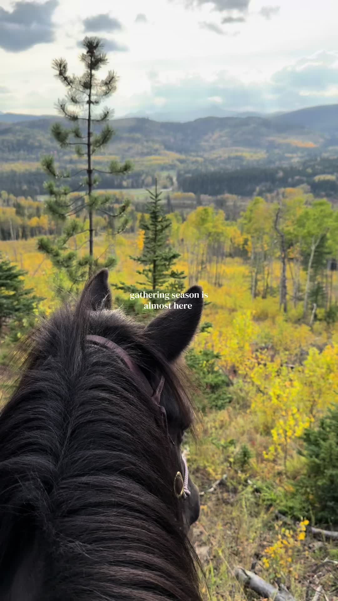 @Ranch Riders