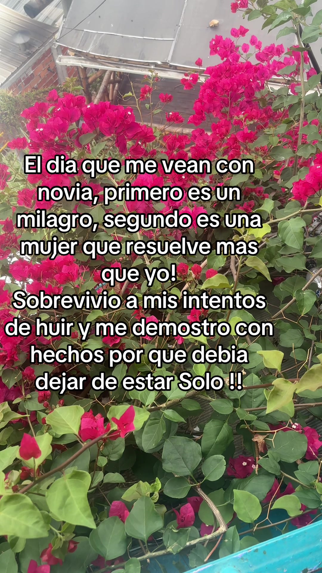 @Andrés