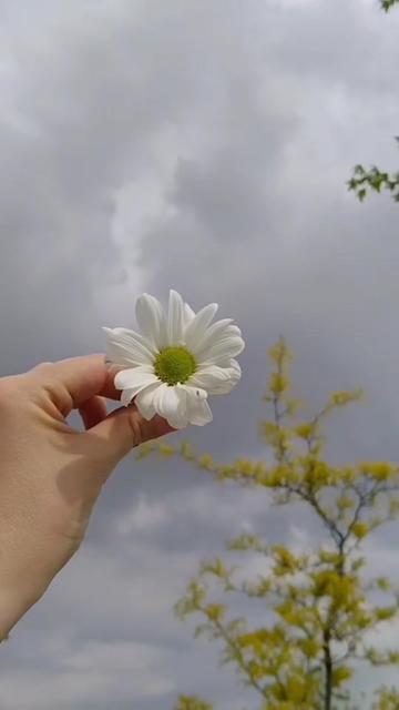@گمنام 🥀