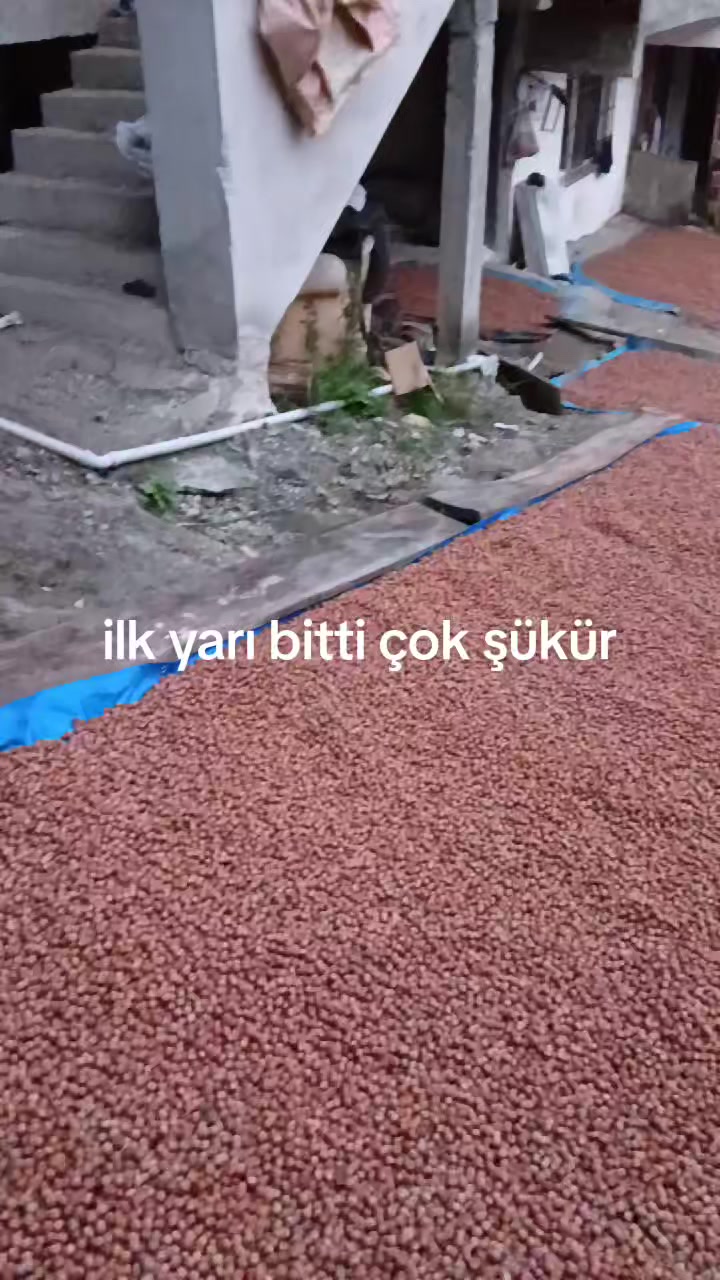 @Metin gökmen