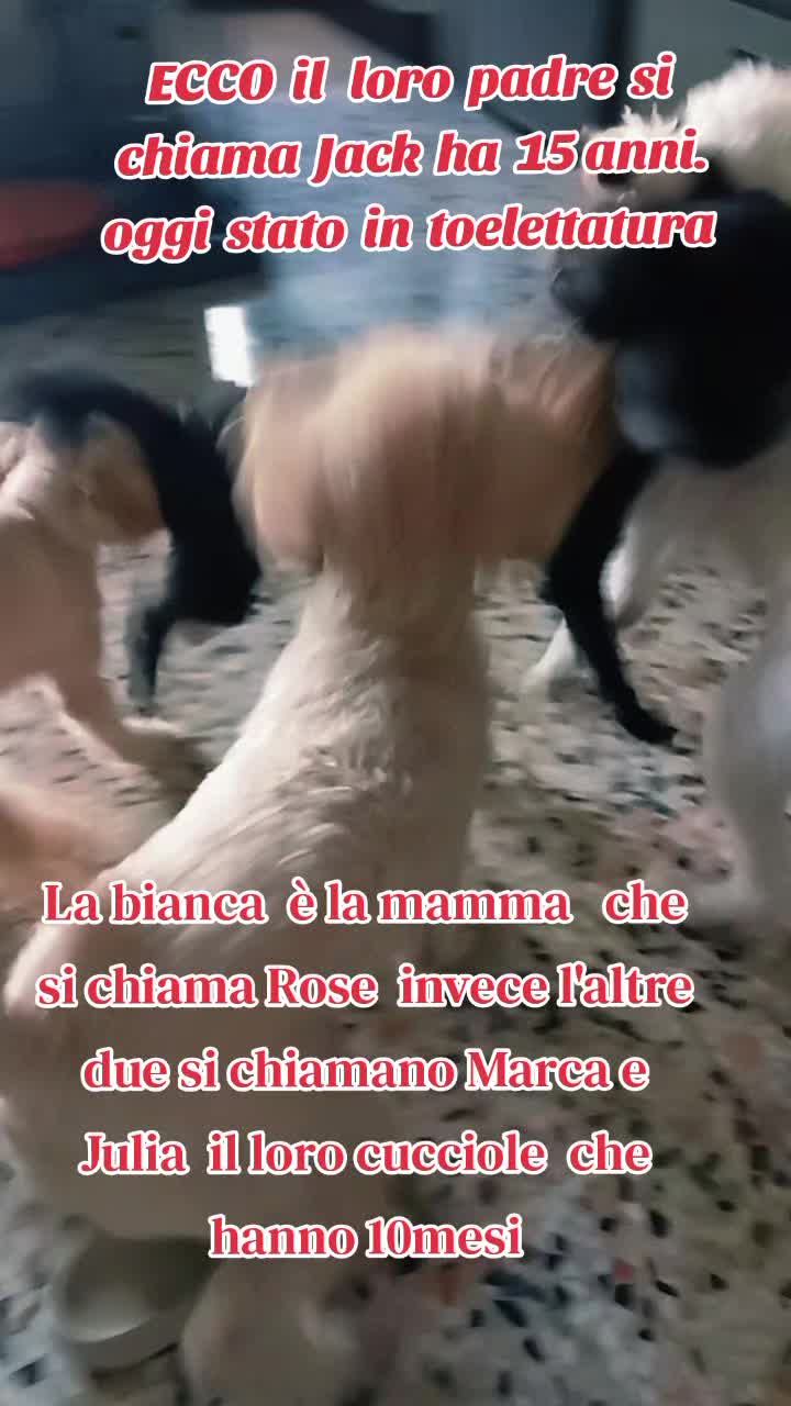@Julie in Italy
