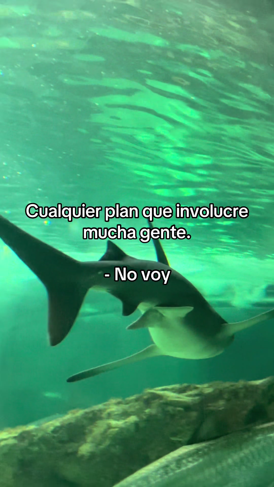 @Ony Velazco