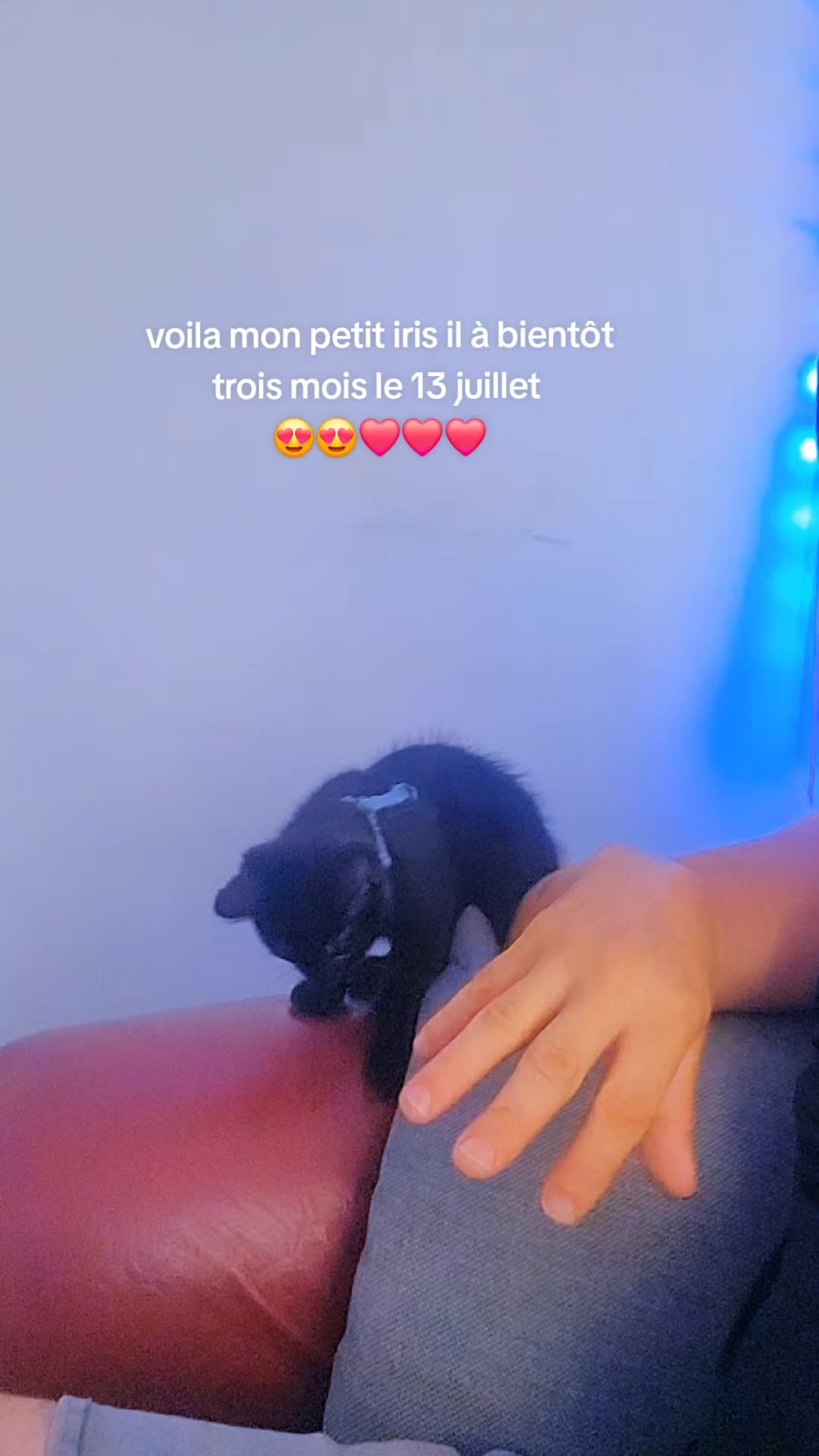 @🇧🇪🇧🇪🇧🇪demeuter