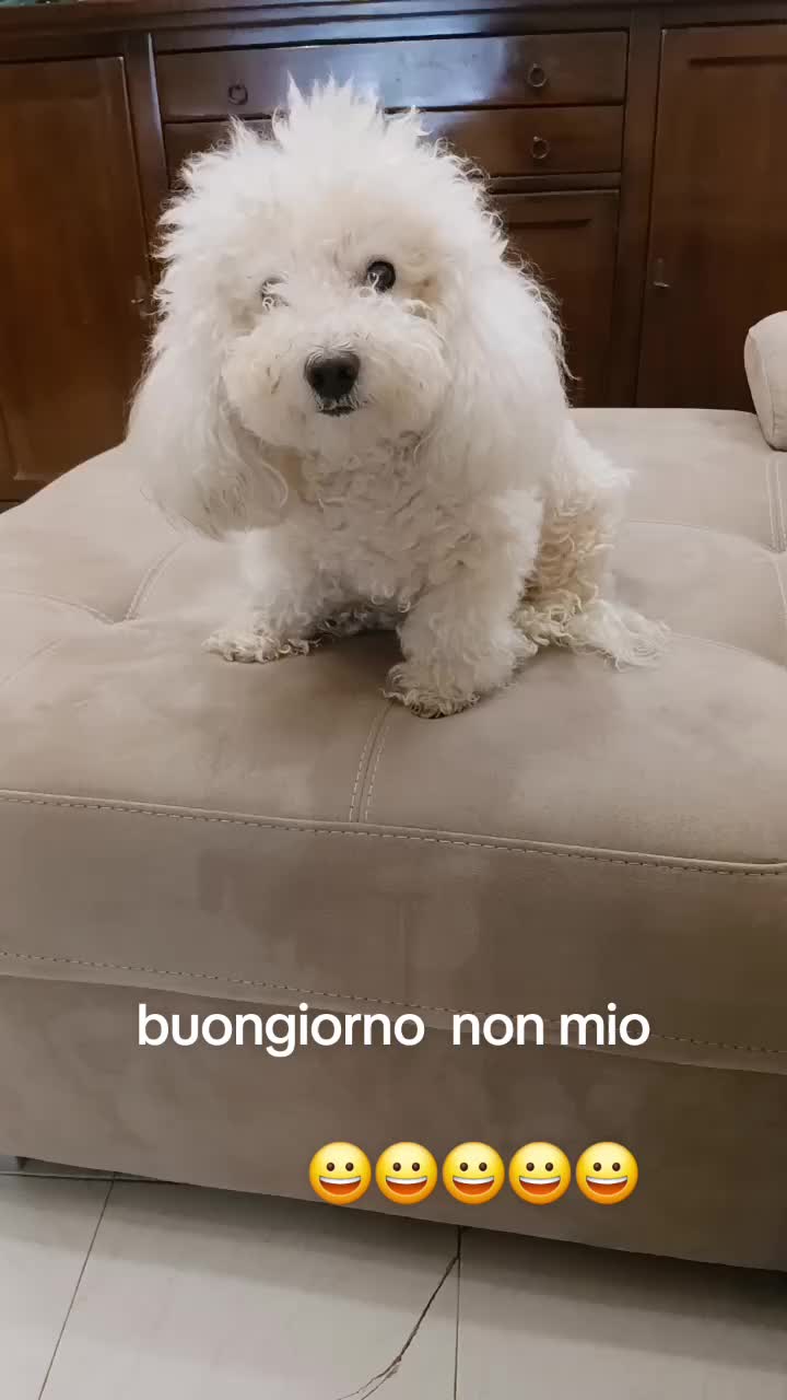 @Pina Tufo