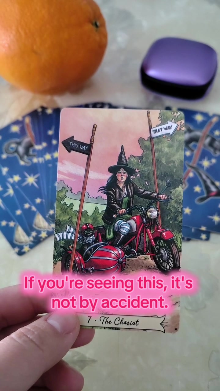 @dnnx6362