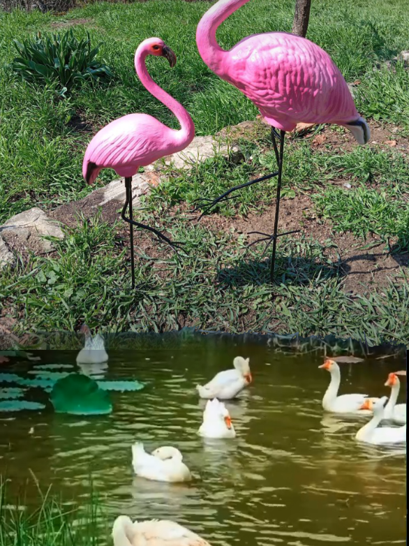 @НікоСад GARDEN DECOR