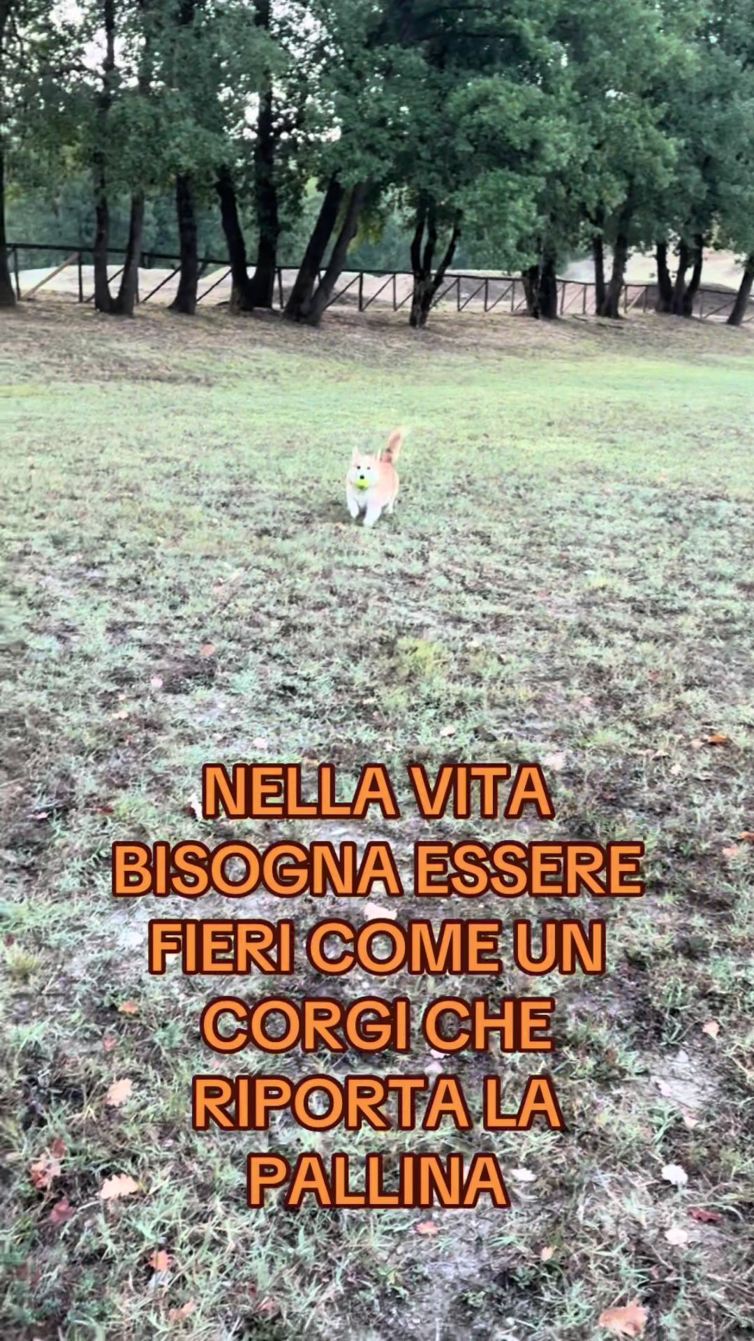 @Nadine Salomoni