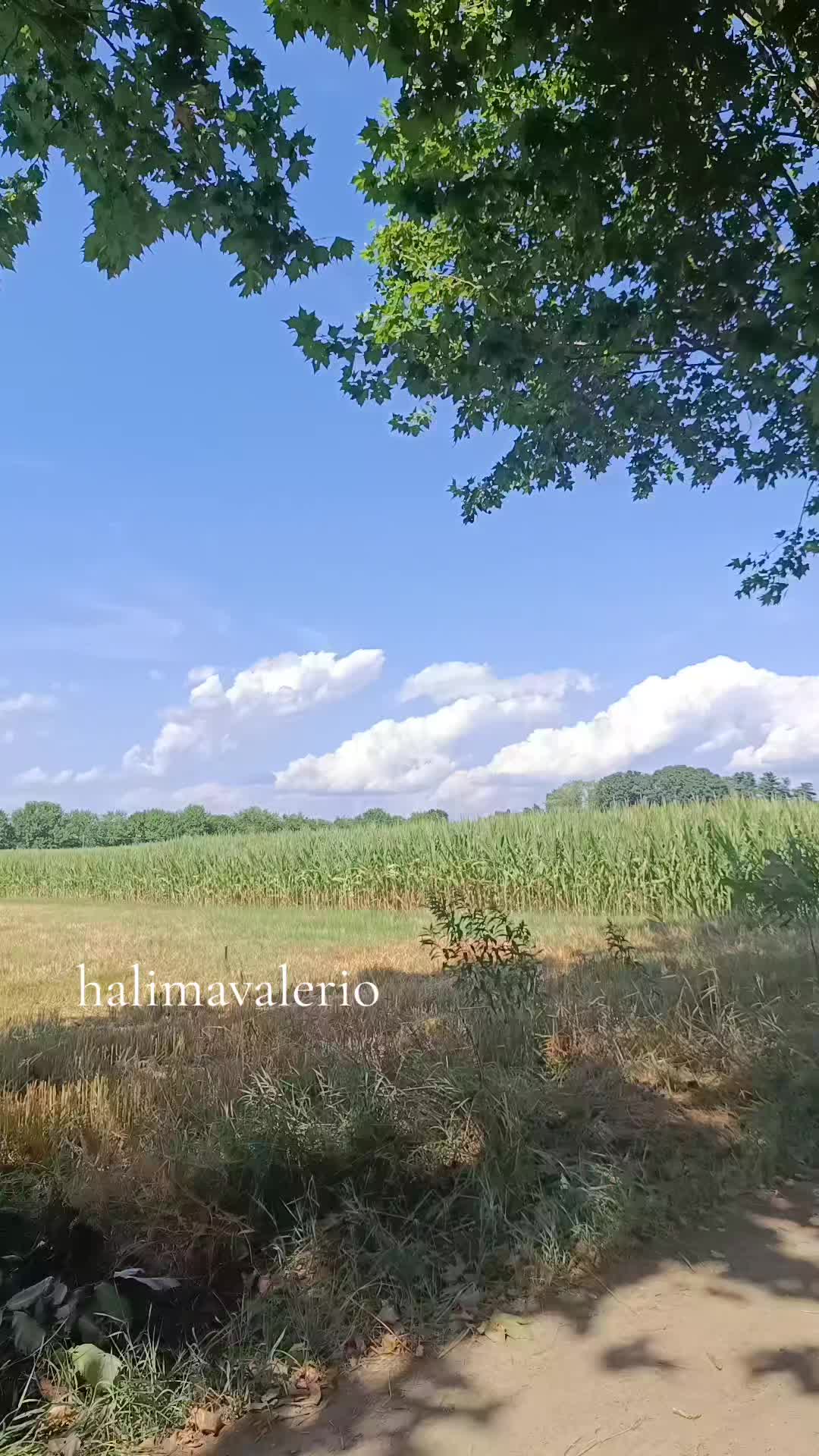 @halima_Valerio