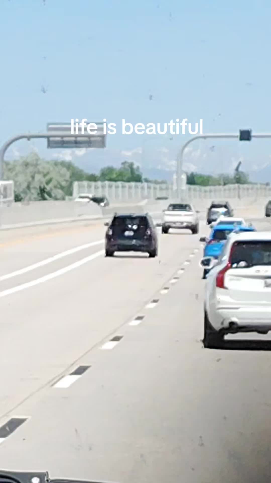 @lorenzo01