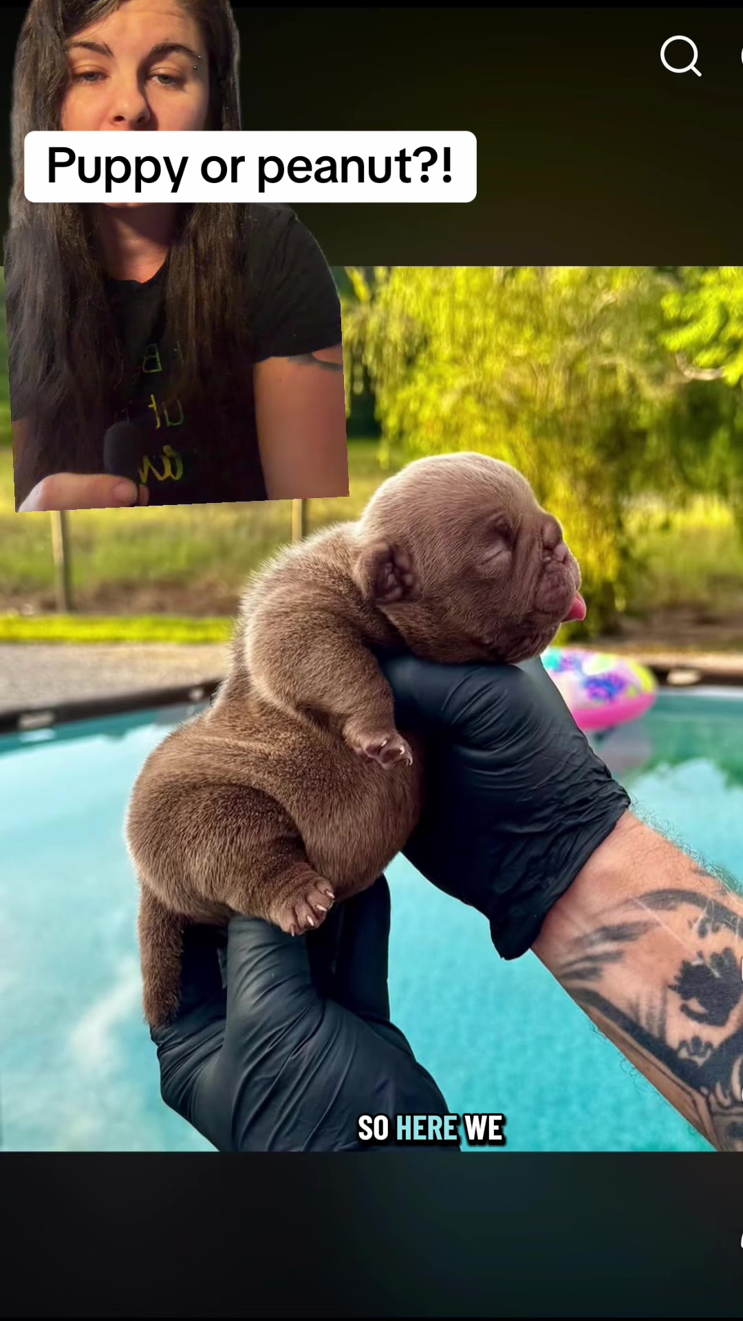 @Jess Shark🐾DOG PACK🐾