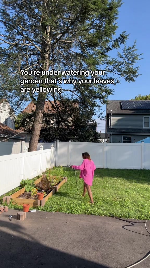 @Max