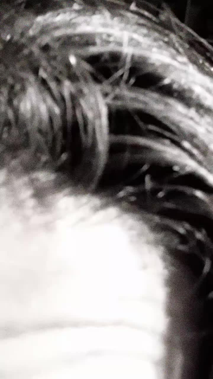 @Chiara Siragusa ❤️
