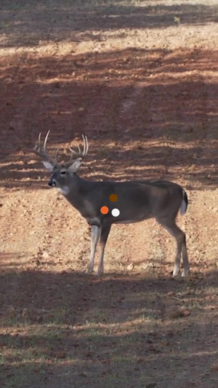 @Buckmasters Outdoors
