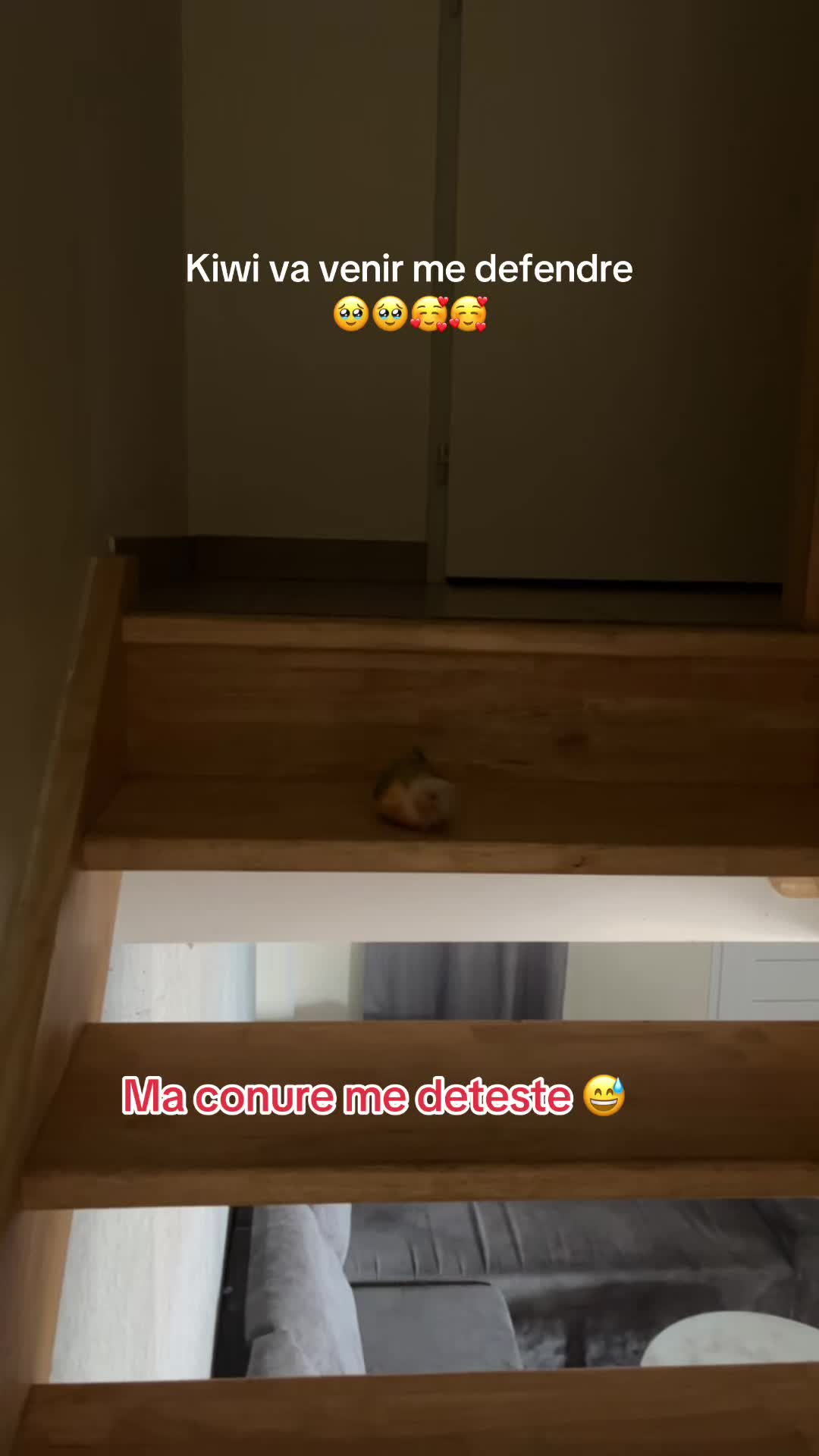 @Neji le perroquet 🤍💛🇵🇸