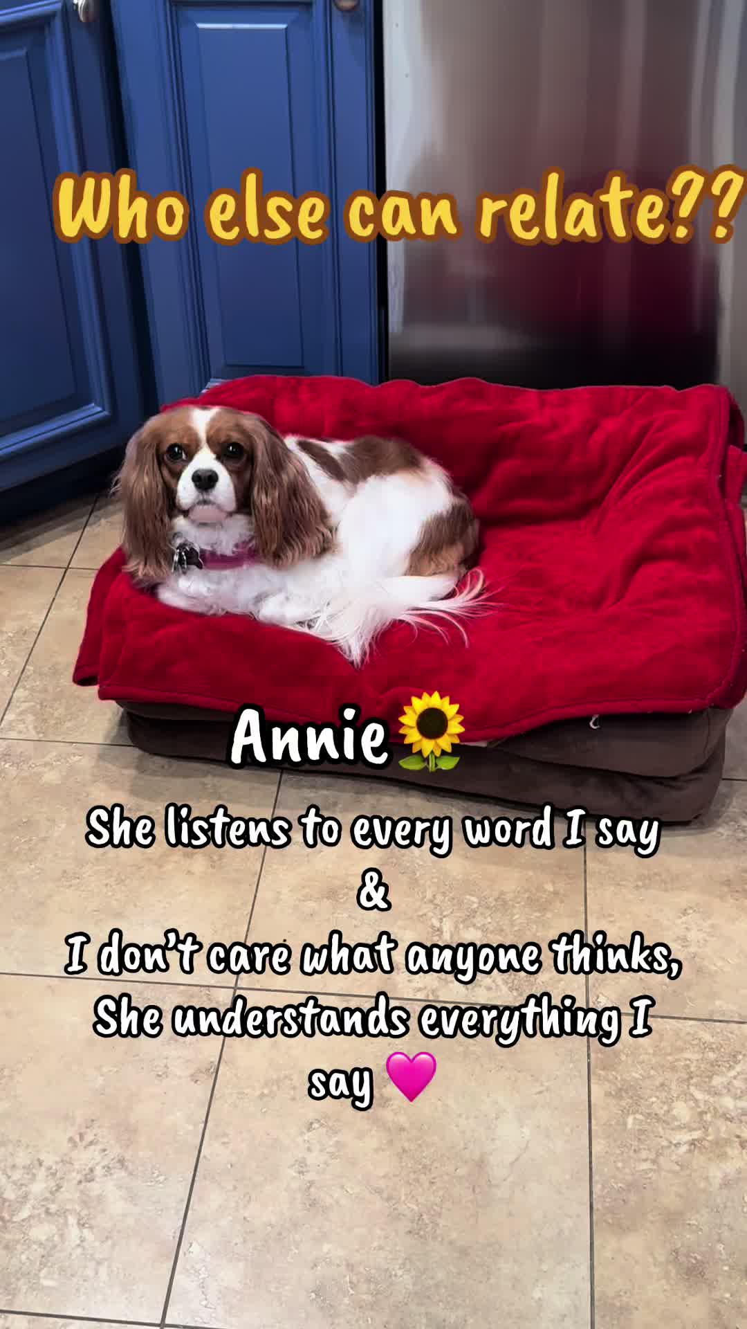 @annie_rae_the_cavalier