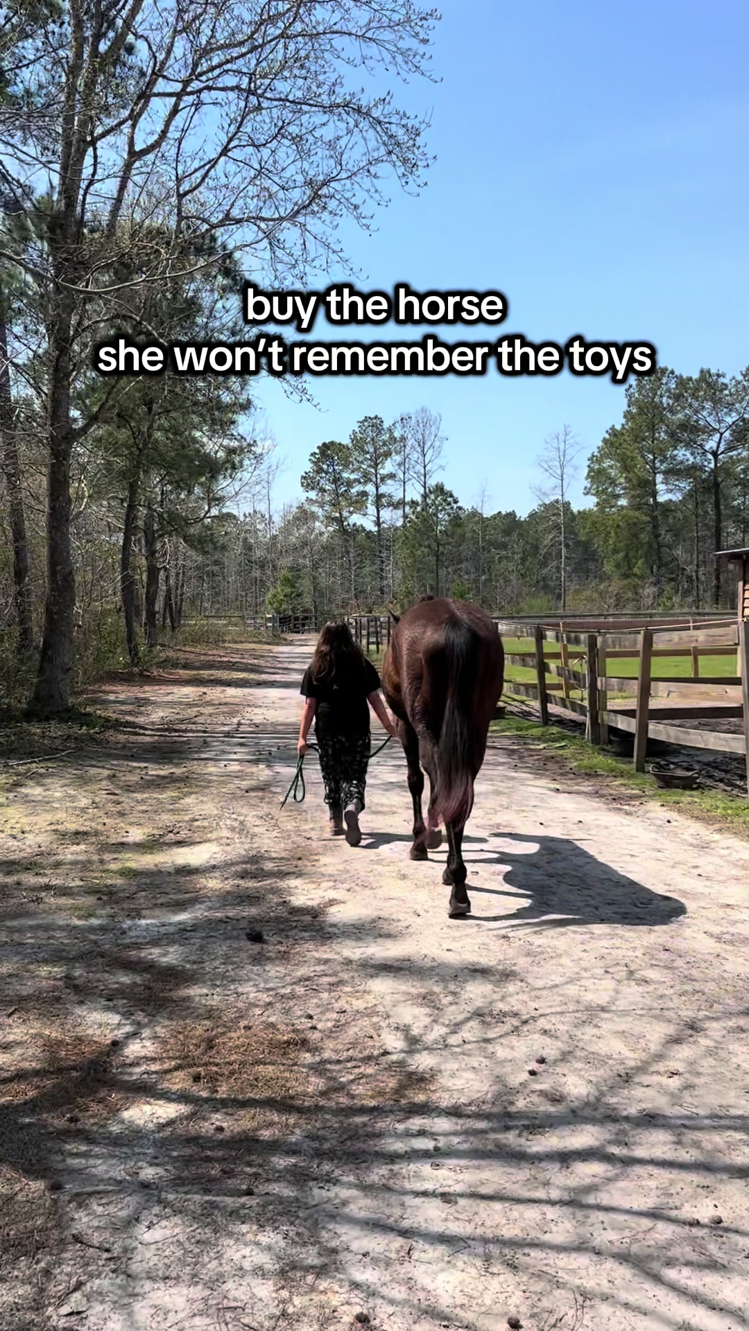 @Lacy & Shooter the OTTB