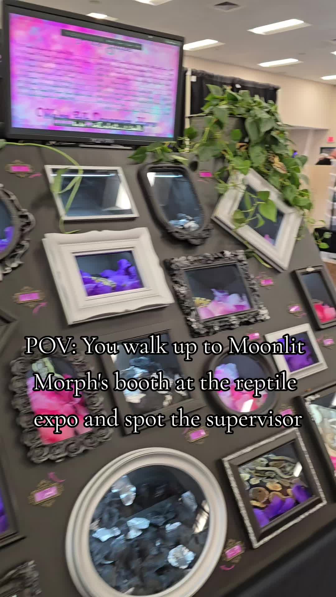 @MoonlitMorphs