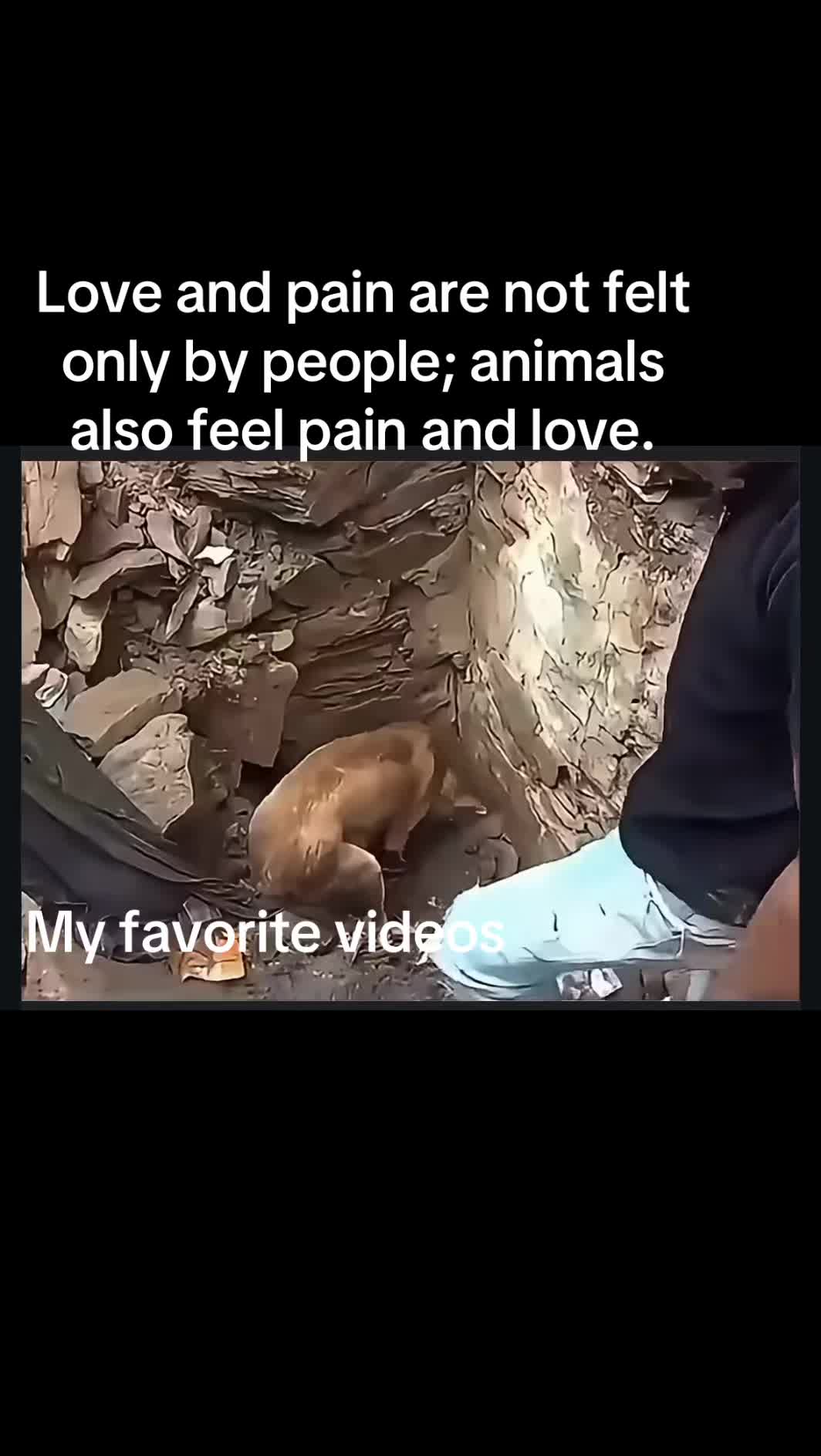 @my favorite videos