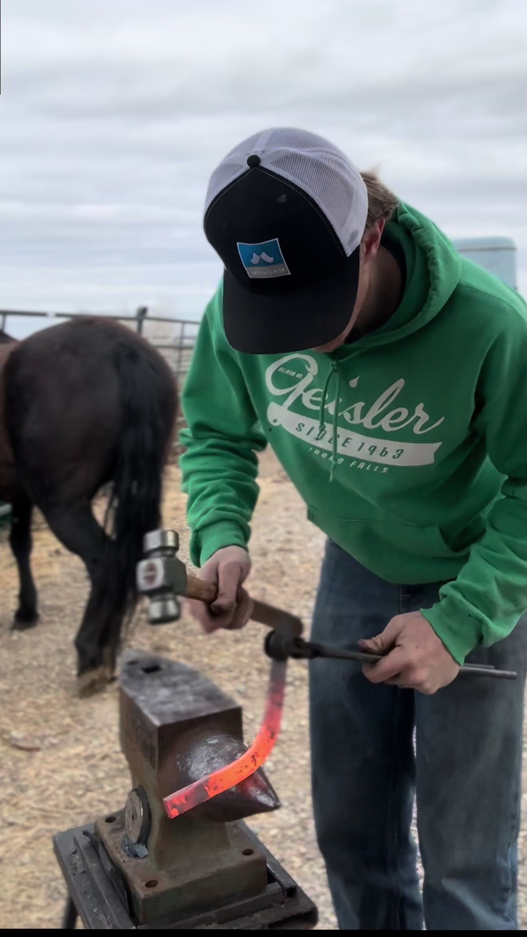 @bar_diamond_farrier