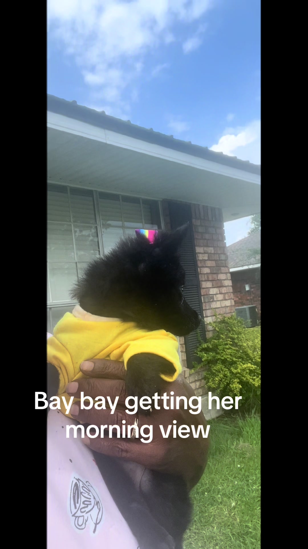 @PhatCake52