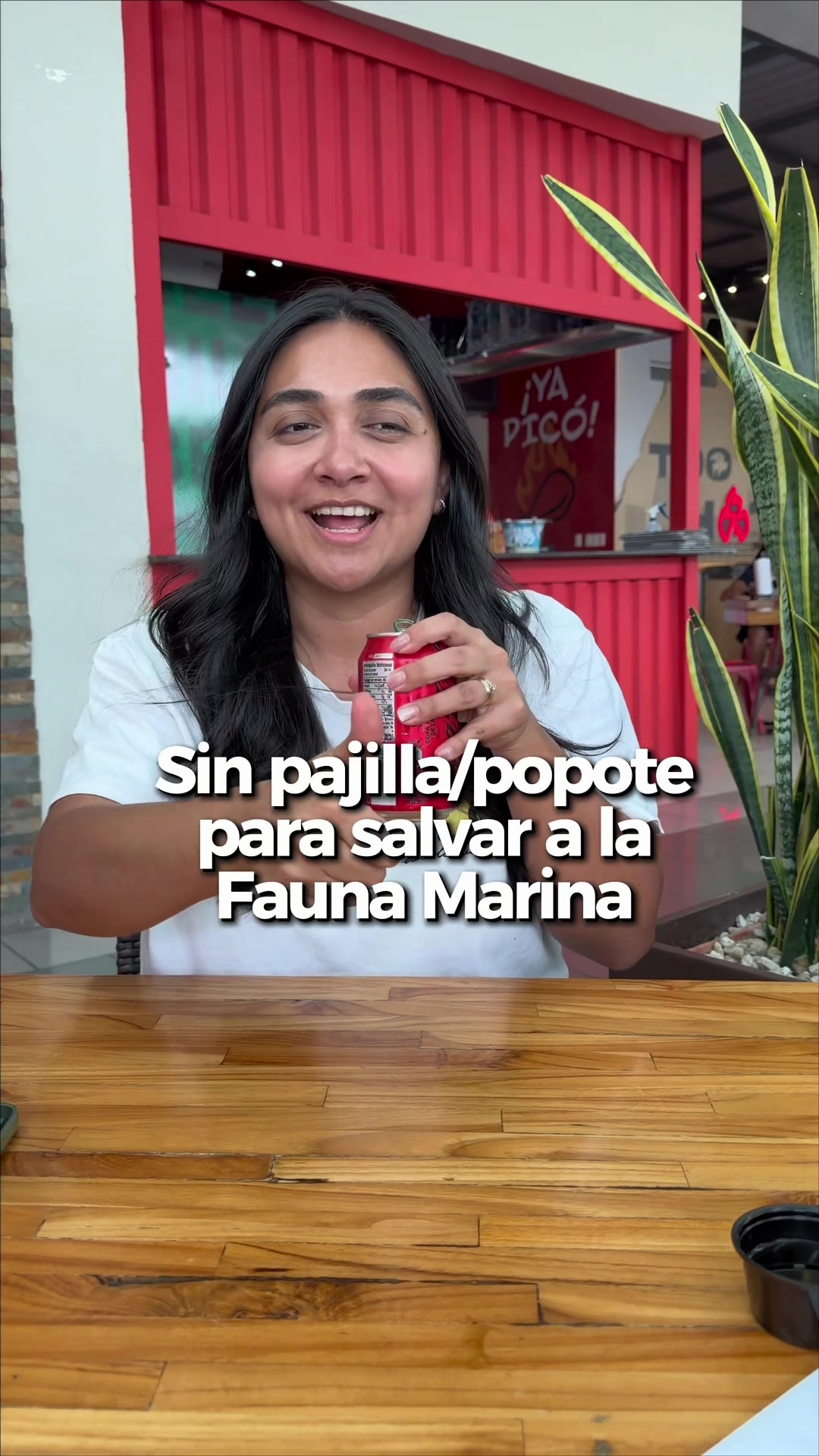 @Dos Neuronas
