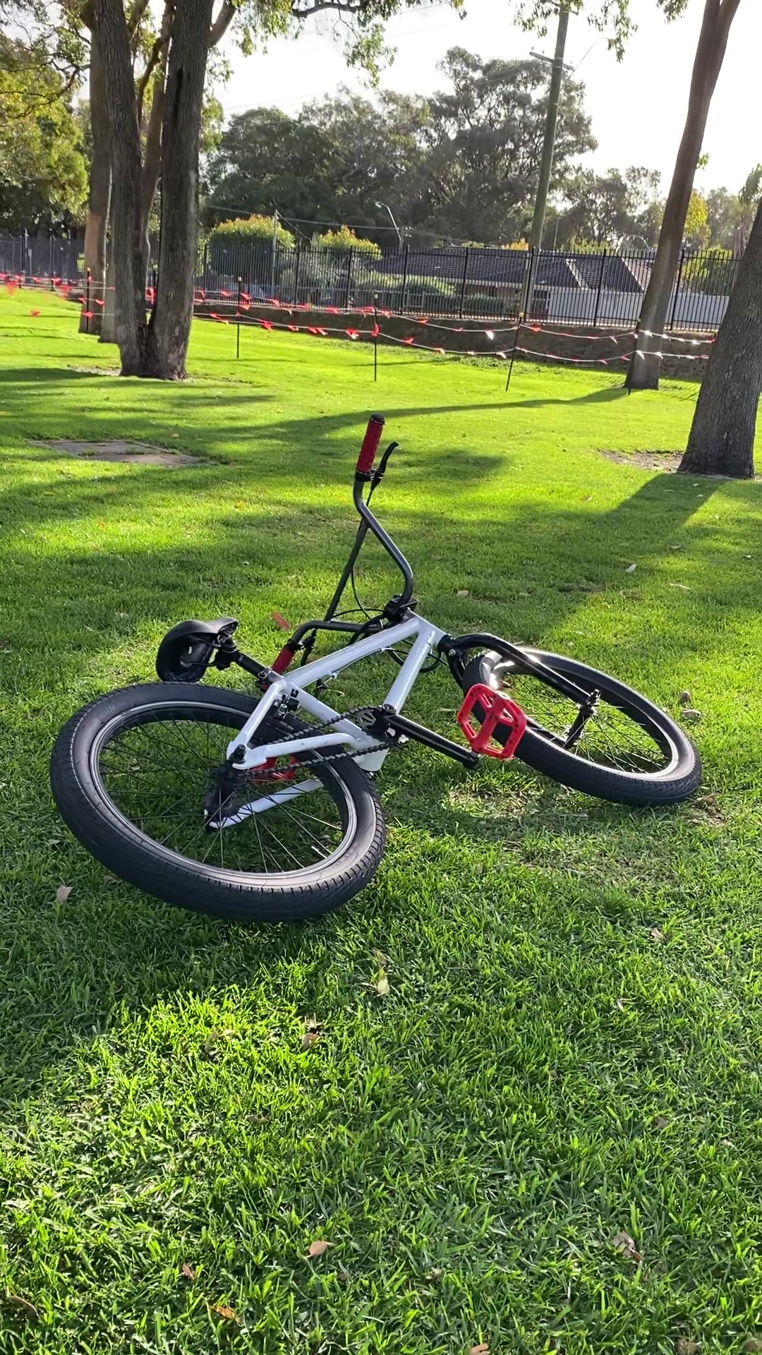 @bmxbic