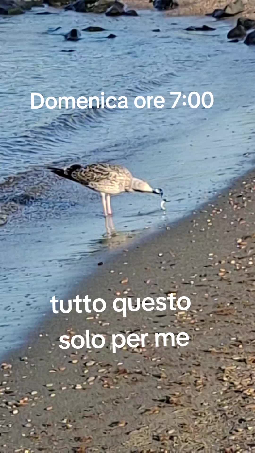 @Stella Pizzuto