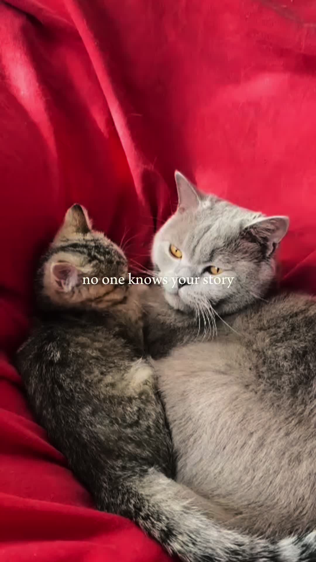 @parisyomama