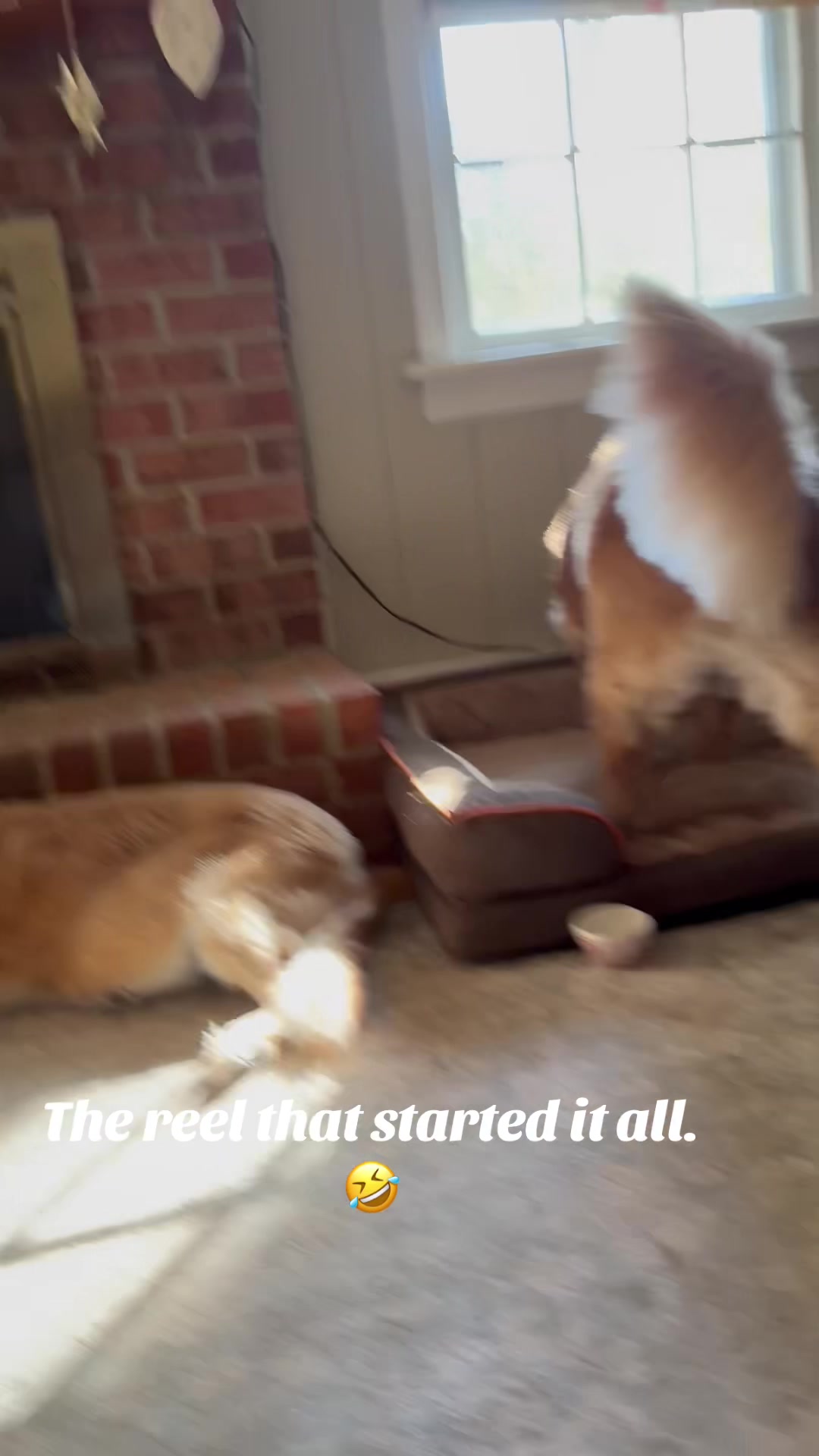 @lifewithduke2025