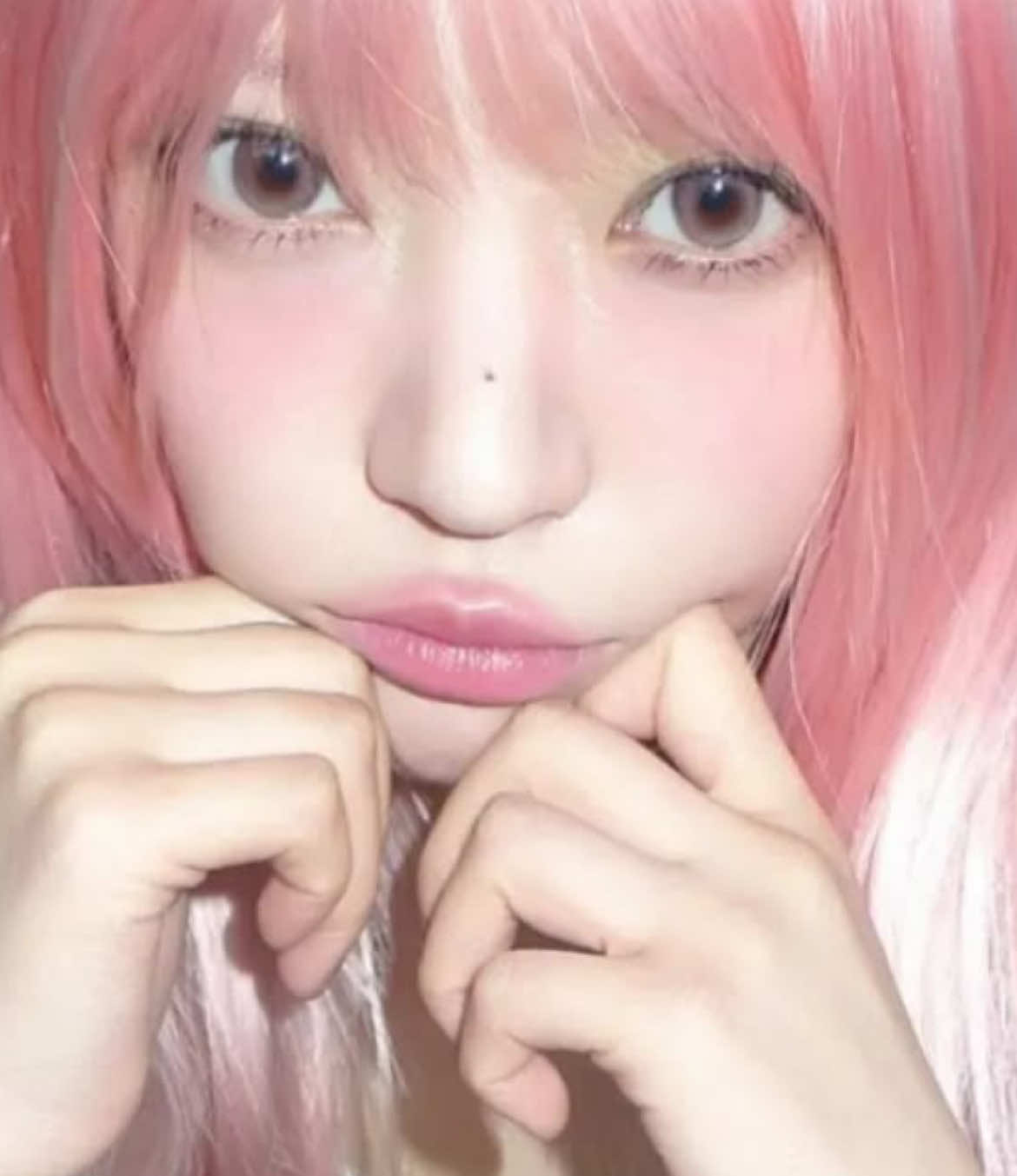 @⌗ 🐚 sֹׅuოɱᧉ᪲͠ɾ ˗ ♡ : 🦢 !