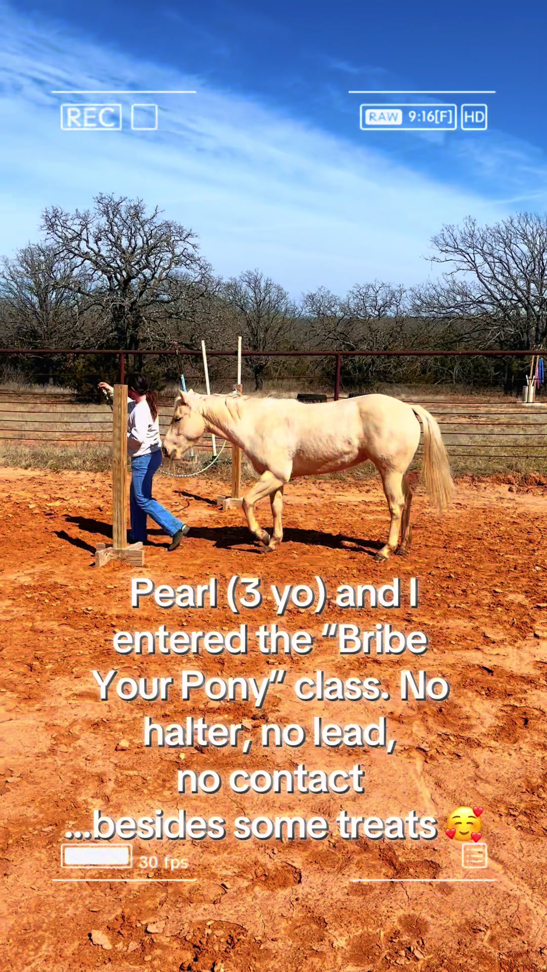 @haley&horses