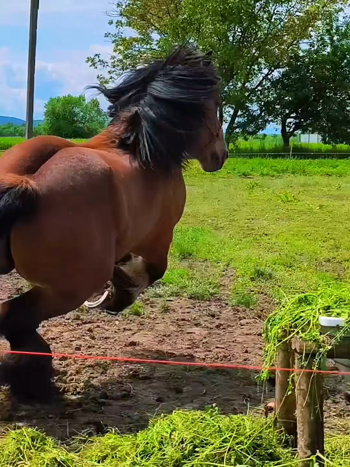 @ВАСЯ БОЙЧУК 🐎