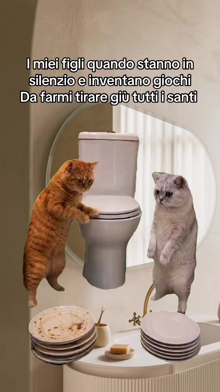 @6_voltemamma