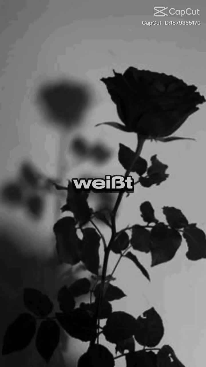 @Wincent80