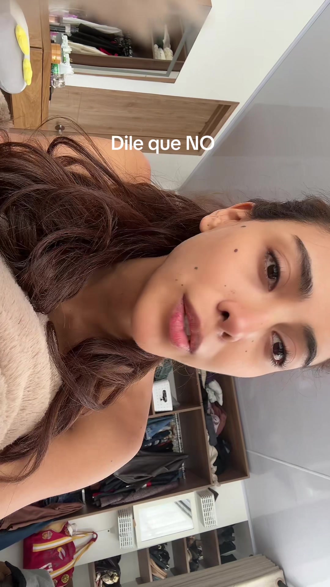 @sofilacuriosaa