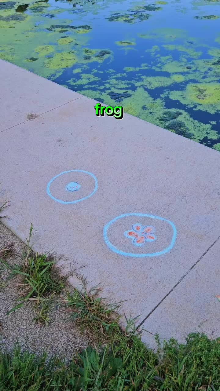@indoxity