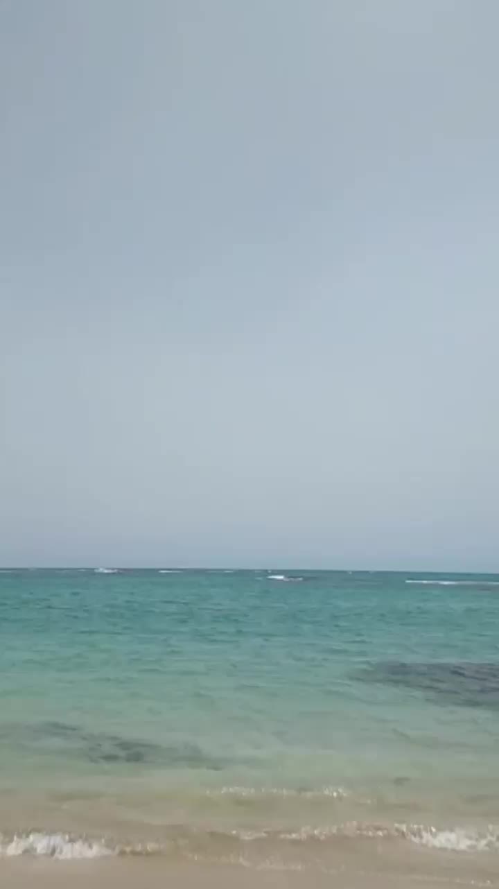 @Mil8386