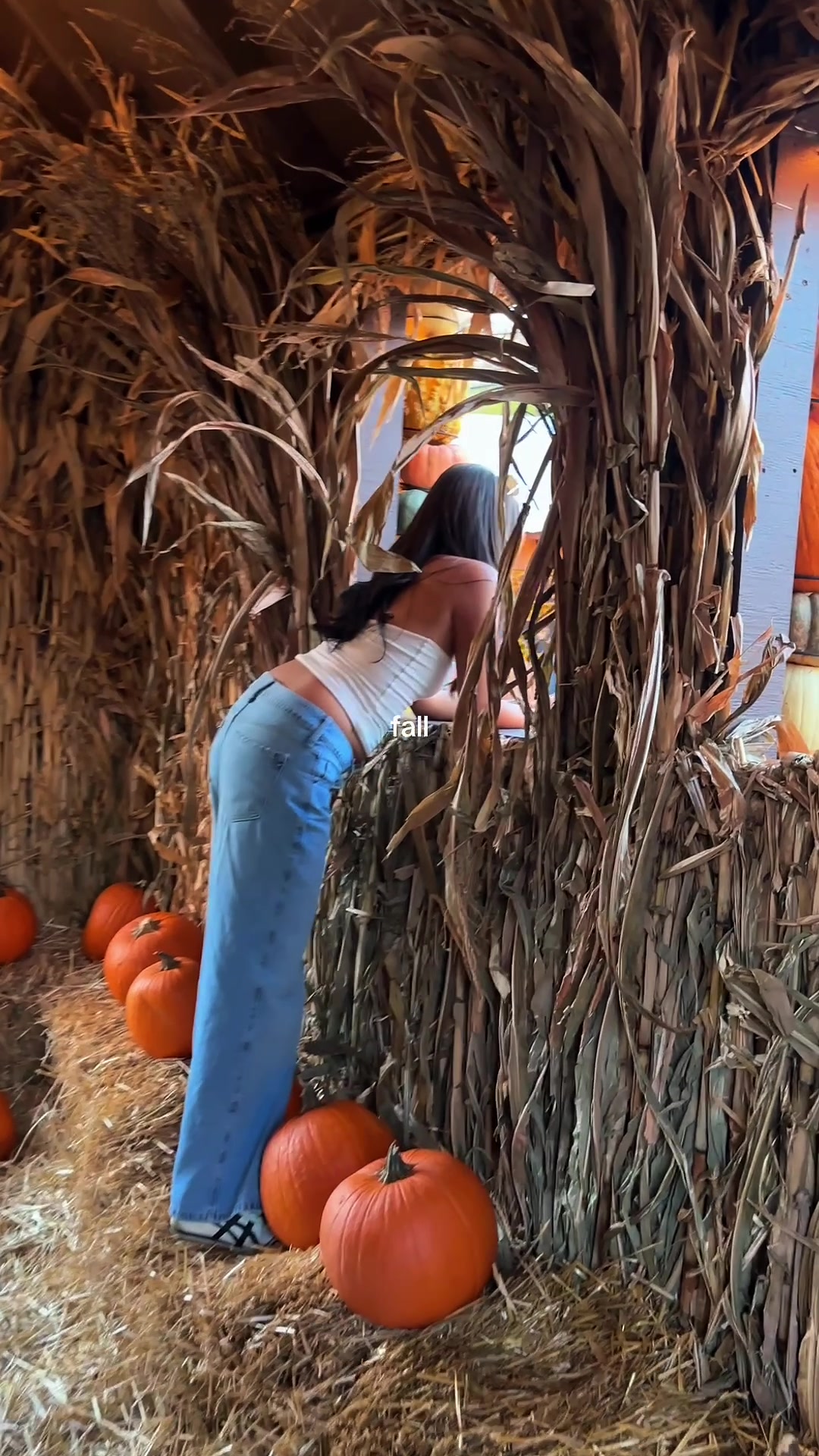 @Jack’s Pumpkin Pop-Up
