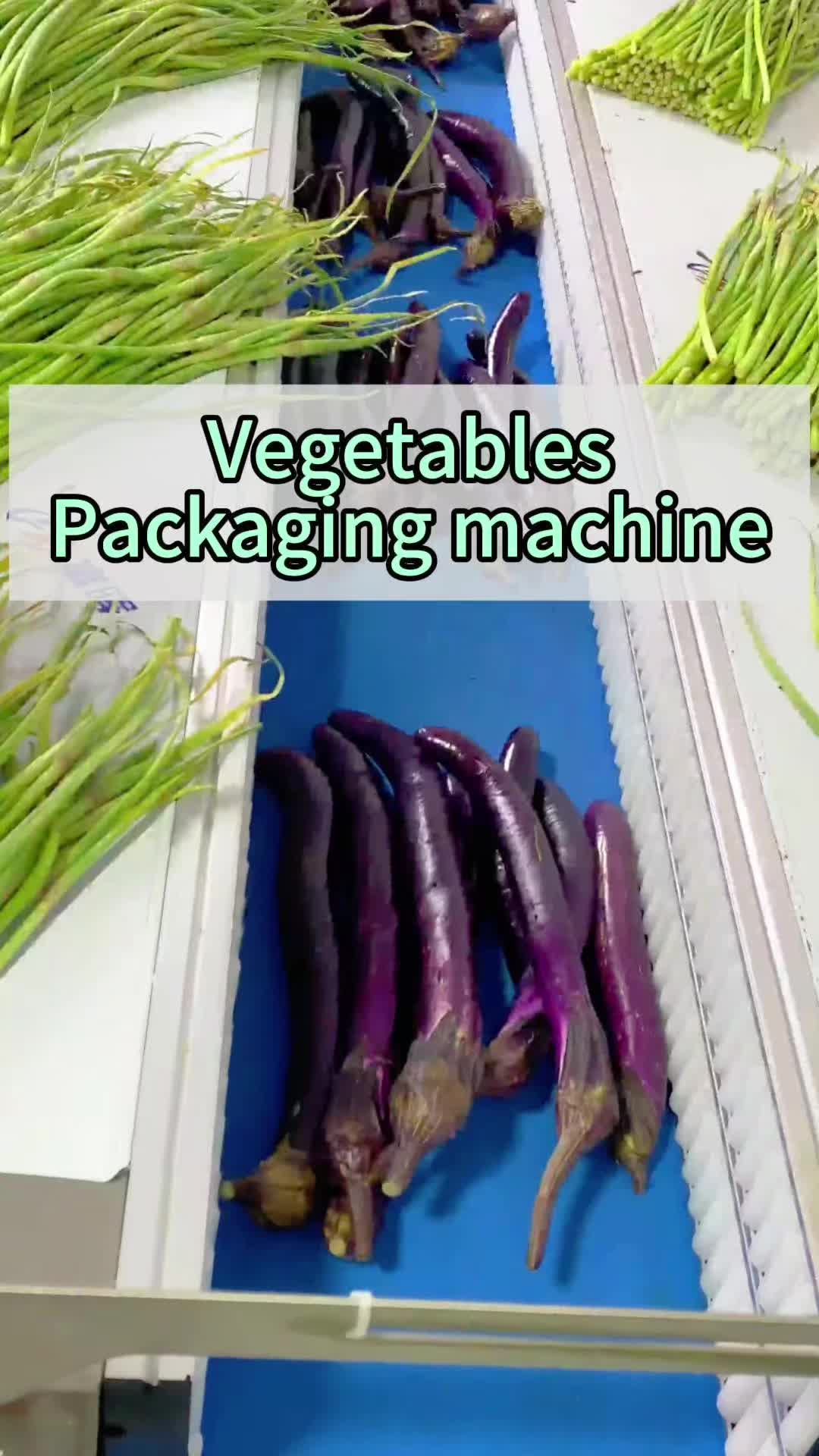 @vegetable.packaging