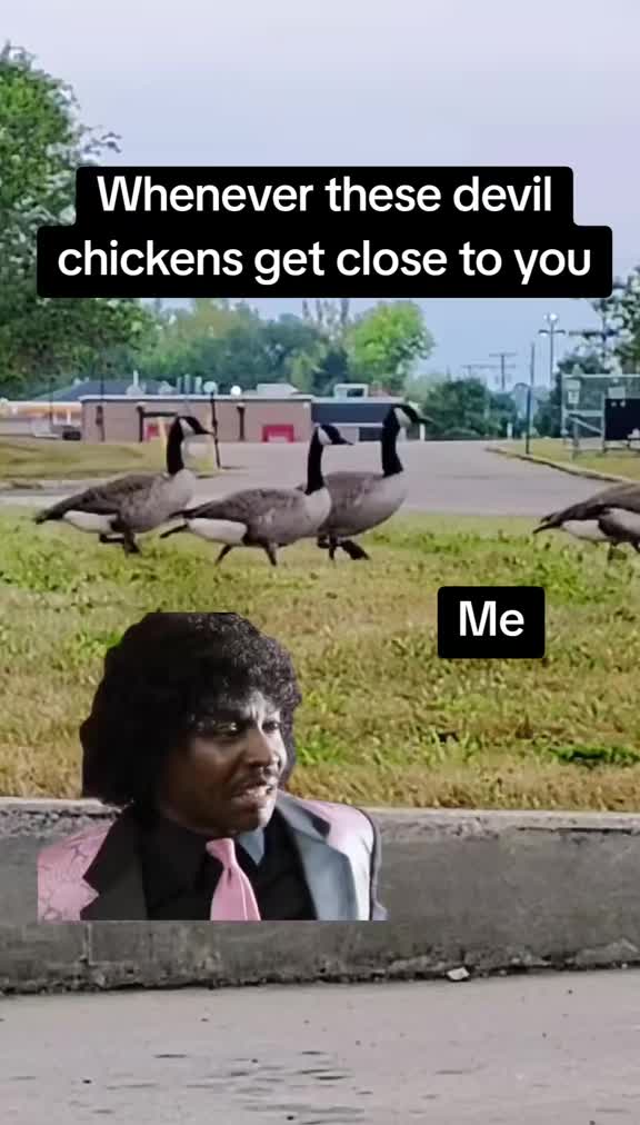 @funnystuff