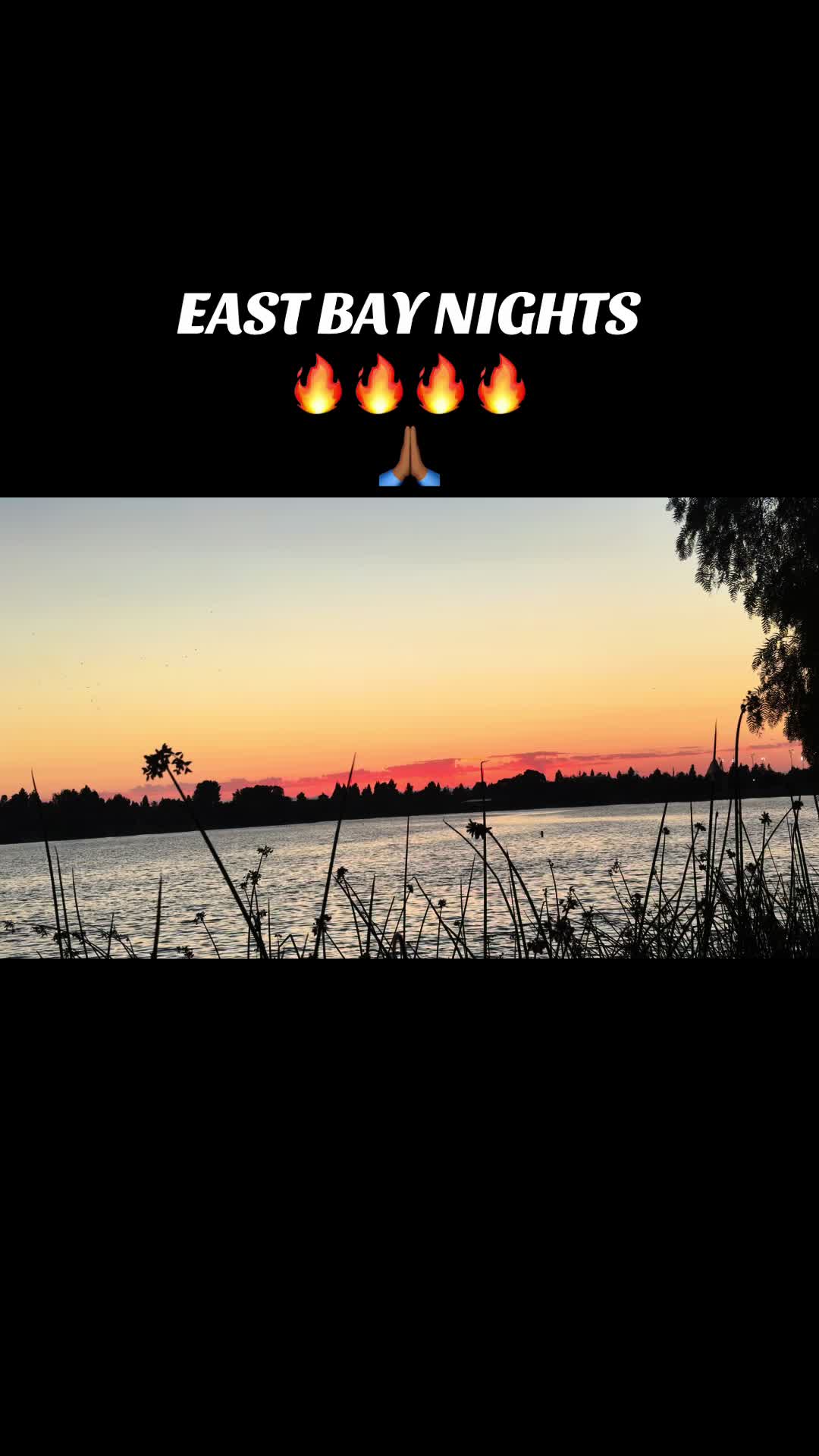 @🇲🇽SAM510🇵🇷
