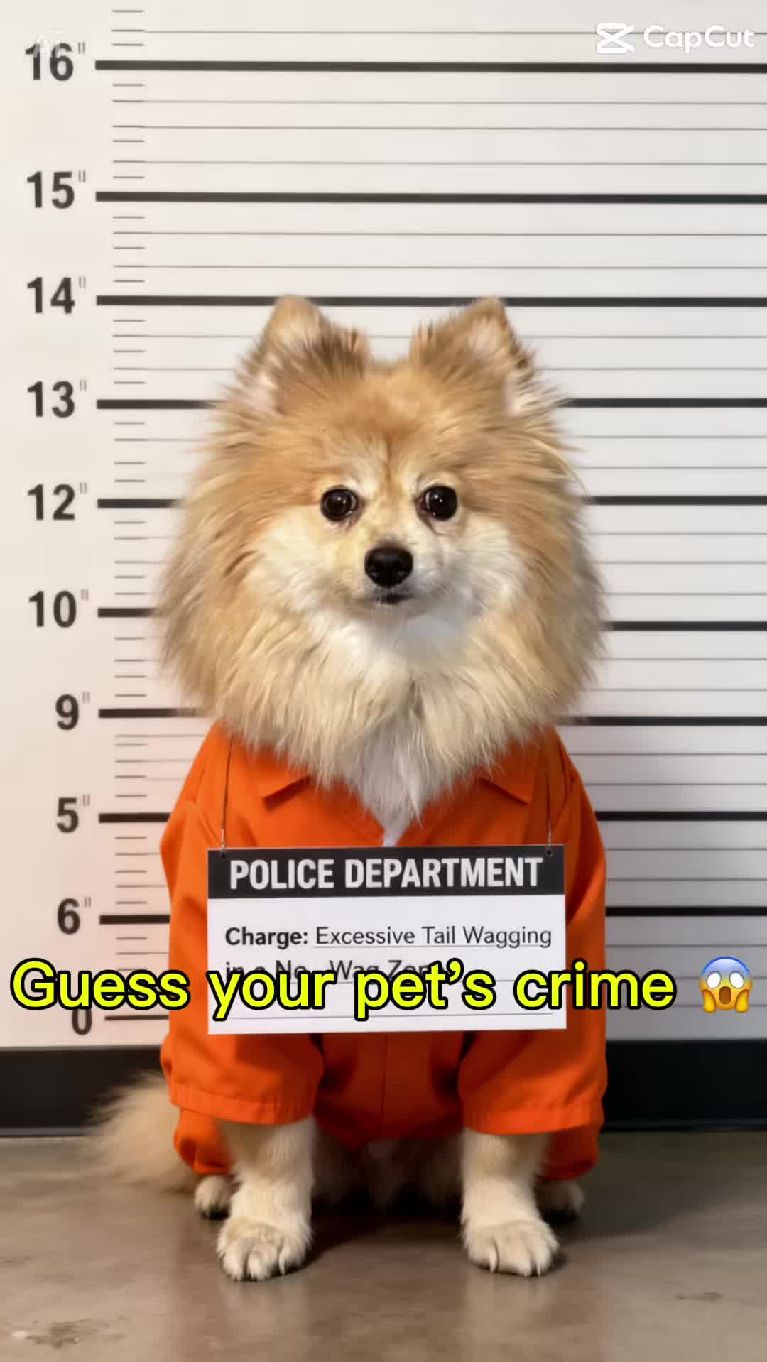 @Jennifer Wilson