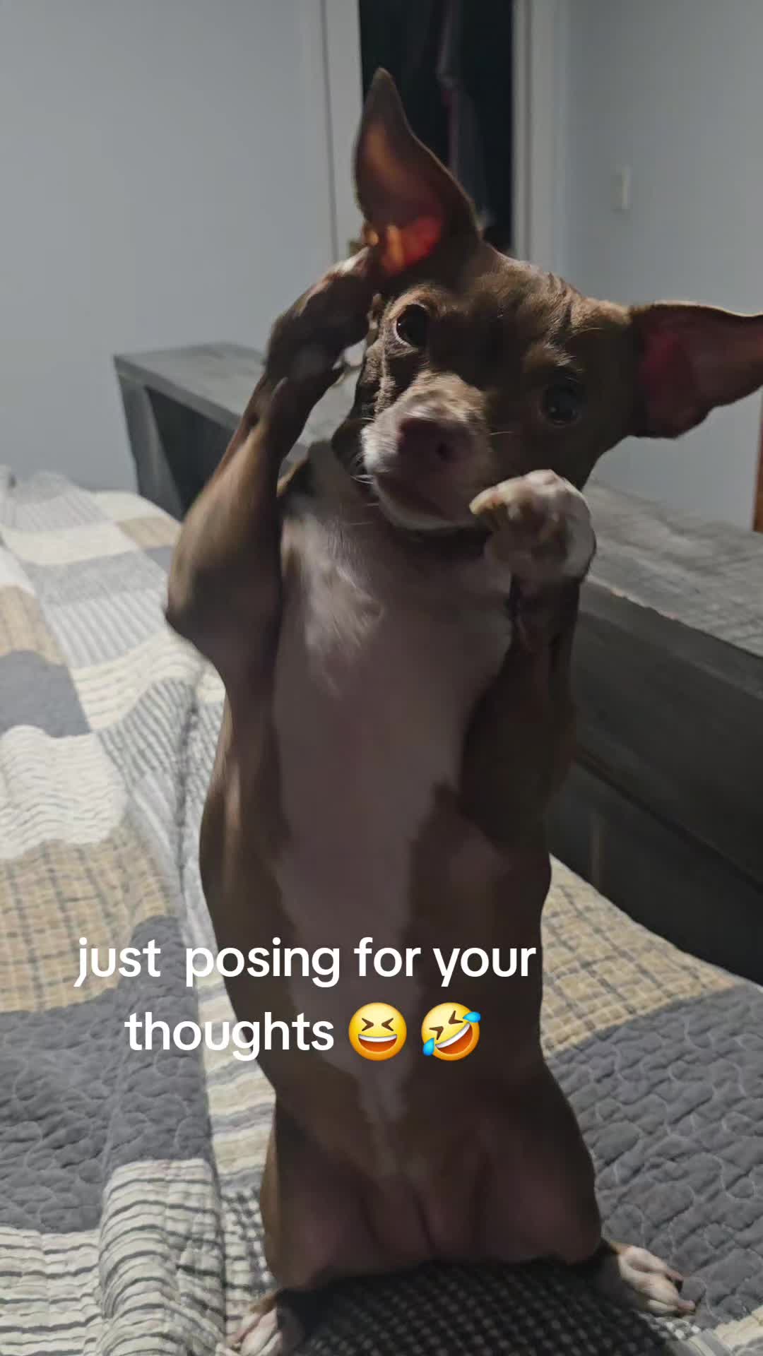 @DAISY MAY