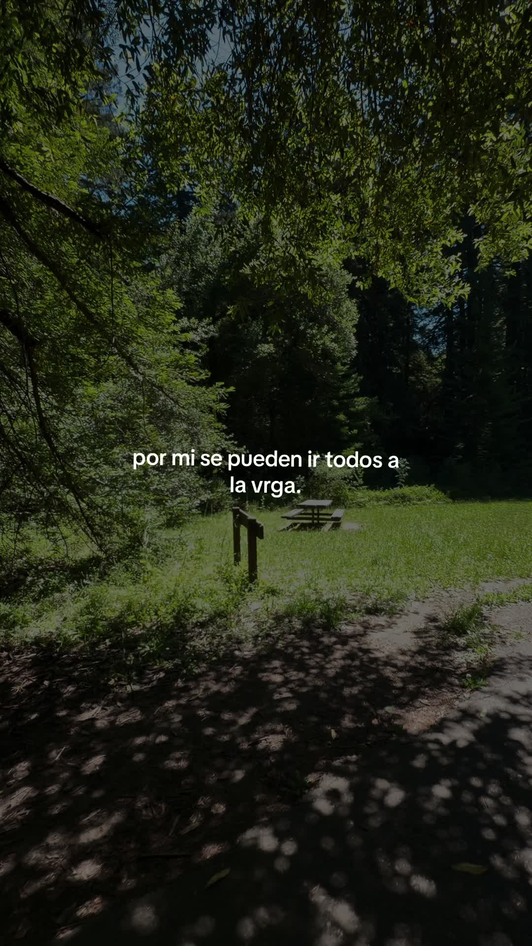 @user123386698