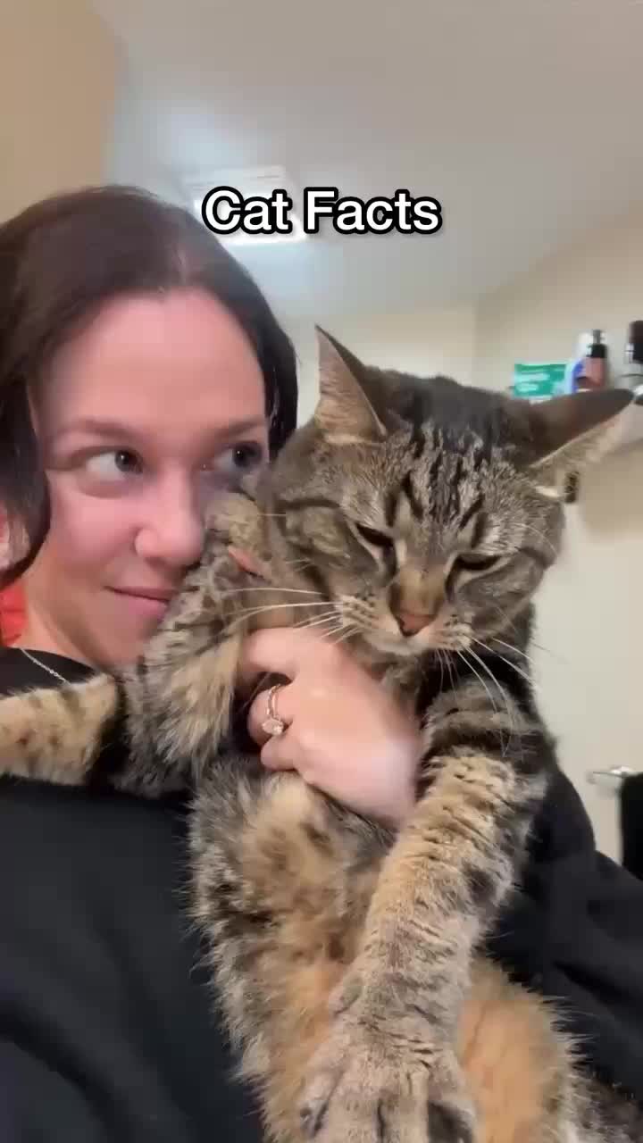 @Chip The Manx