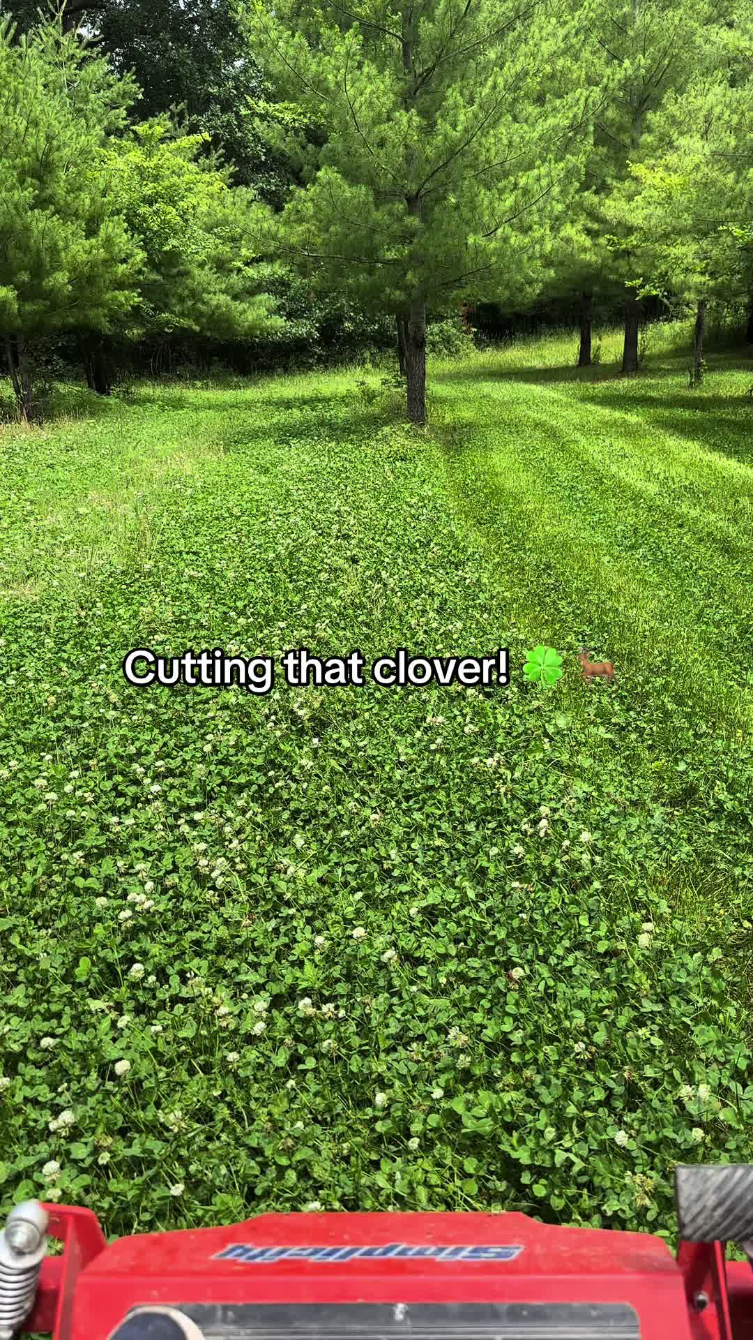 @TheHuntingJunkie