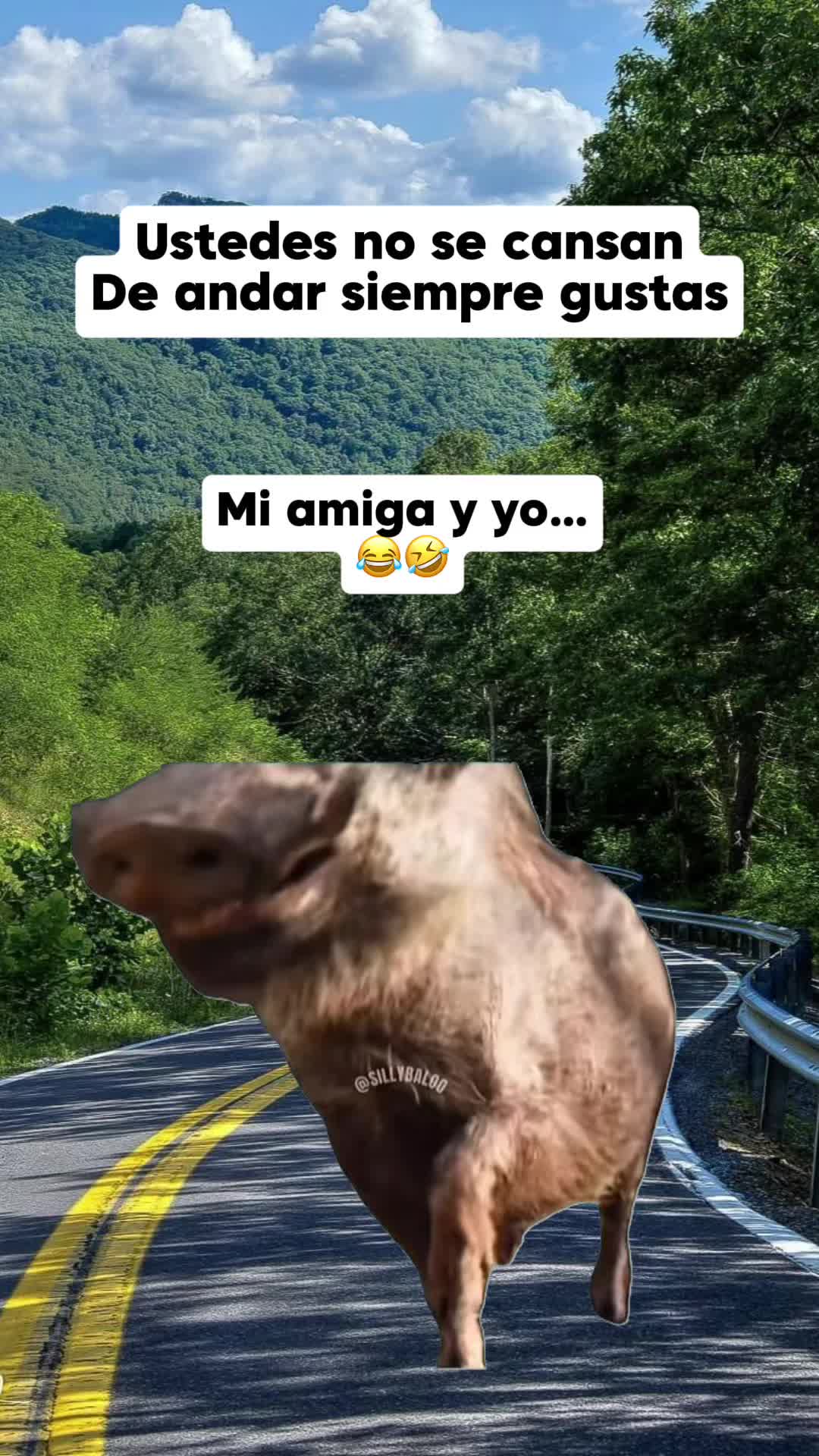 @๐ Paloma Rodriguez ๐ฒ๐ฝ