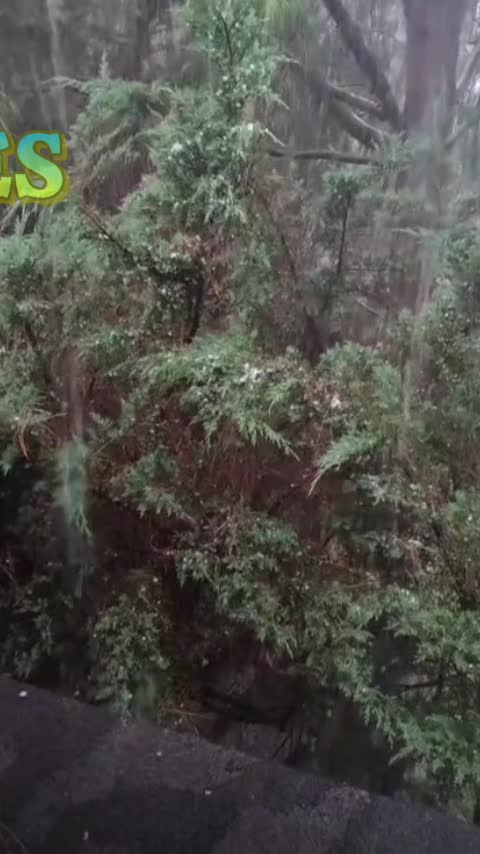 @isabelgarcia2608