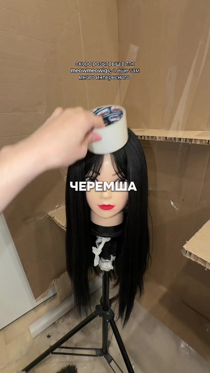 @тгк vivien & meowmulia˚✧₊