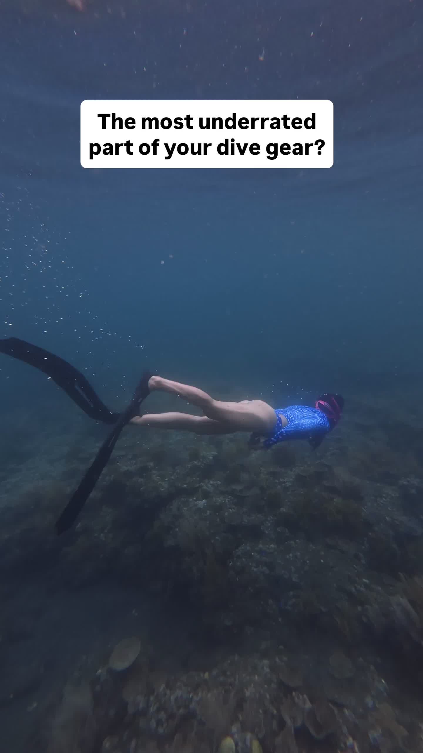 @The Dive Compass